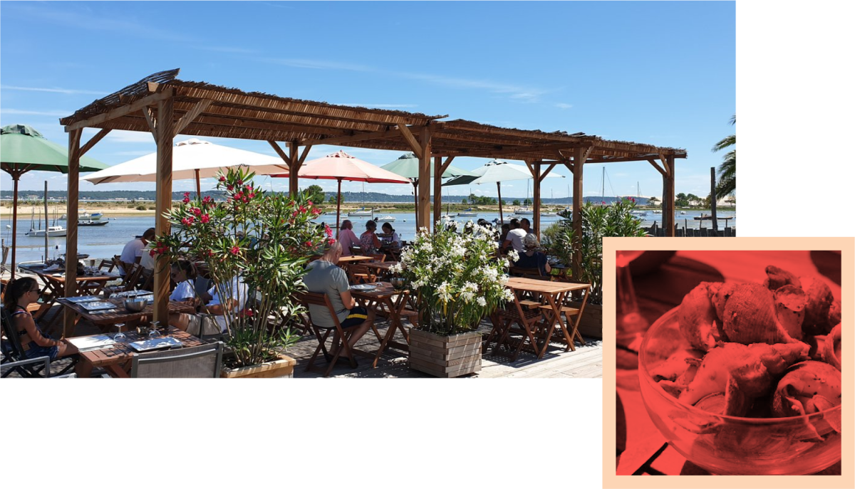 Le restaurant - La Cabane du Phare - Cap-Ferret - les meilleurs restaurant de LEGE-CAP-FERRET