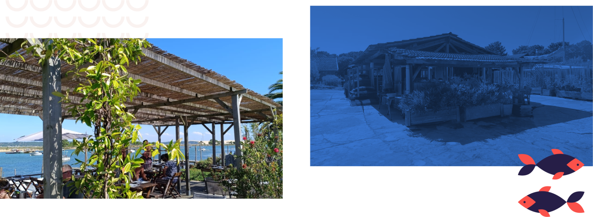 La Cabane du Phare - Restaurant Cap-Ferret - Restaurant Cap Ferret bord de mer