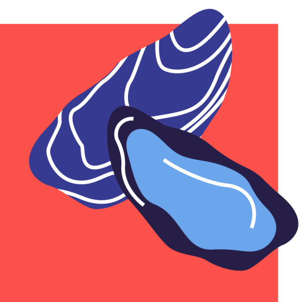 Le restaurant - La Cabane du Phare - Cap-Ferret - top restaurant LEGE-CAP-FERRET