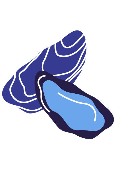 La Cabane du Phare - Restaurant Cap-Ferret - Restaurant huitres Cap Ferret