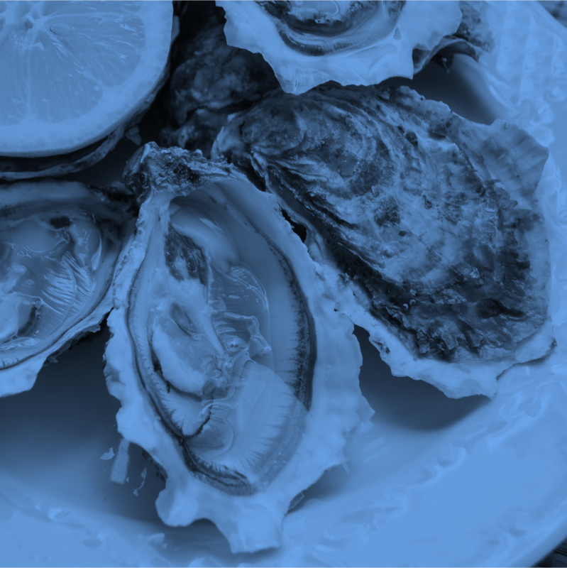 Le restaurant - La Cabane du Phare - Cap-Ferret - Bar a huitre Cap Ferret